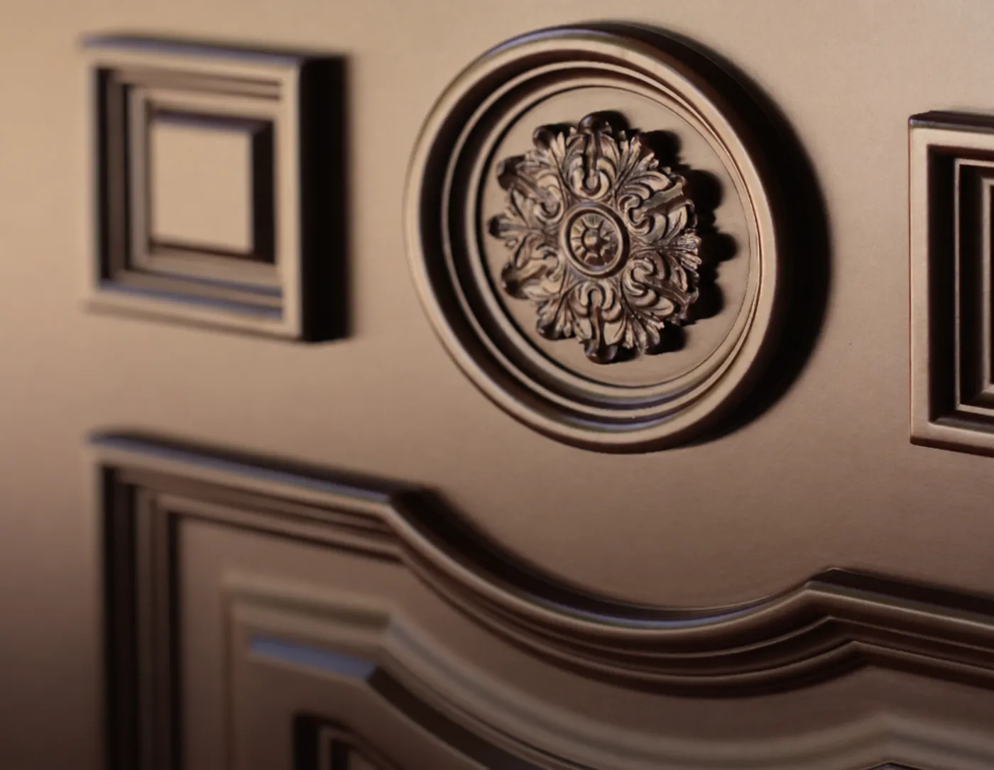 Carved acanthus rosette medallion set in a circular recess on a bronze door with coffered panels