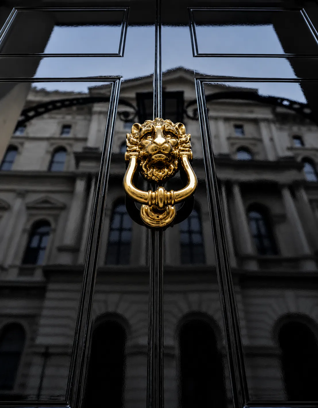 Polished brass lion-head knocker on a black gloss security door